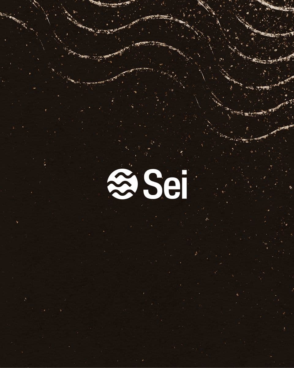 Sei logo on a textured dark background with wavy lines.
